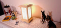 Prairie Beacon Table Lantern in a Maple wood-look finish, featuring American-inspired architecture, a tiered roof and base, and illuminated geometric lattice panels. The warm white LED lighting shines brightly through four translucent diffusers, creating an inviting display. Shown on a lace-covered table alongside a succulent, ceramic dog figurines, and a small RF remote control for adjusting brightness and lighting modes.